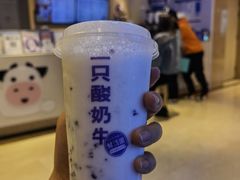 -一只酸奶牛(时代天街A馆店)