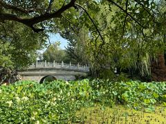 -莲湖公园