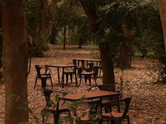 -南宁良凤江国家森林公园