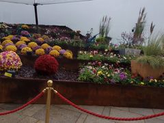 -重庆市江北嘴中央商务区中央公园