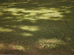 -森林公园(尖草坪区)