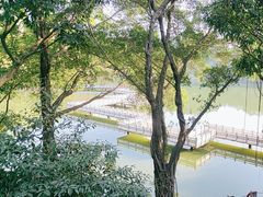 -西樵山风景名胜区-天湖公园