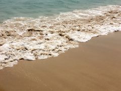 -亚龙湾海底世界