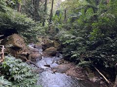 -莫里热带雨林景区