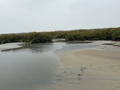 -北海金海湾红树林生态旅游区