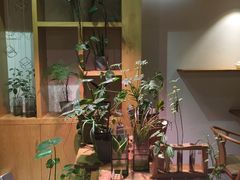 -柴务处·柴犬主题狗咖