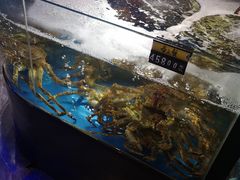 -蟹之国·精品蟹料理(极地店)