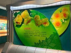 -金花茶公园