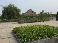-南开大学滨海学院