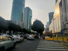 -岭南站NOVA