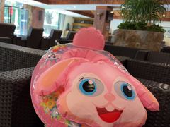 -森波拉火山温泉