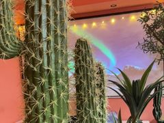 -茉酸奶(春熙路店)