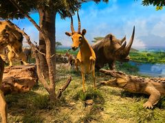 -国家自然博物馆