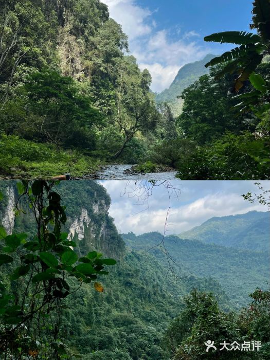 古龙山大峡谷图片