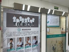 -谐和益家动物医院·免疫绝育·血液透析·宠保定点医院(高新伊藤分院)