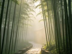 -竹泉村旅游度假区