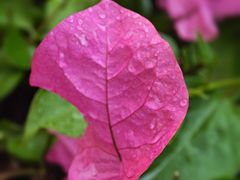 -瑞幸咖啡(沙河世纪广场一层店)