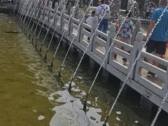 -石家庄市植物园