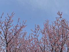 -大瓦窑(地铁站)