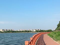 -丁香湖公园