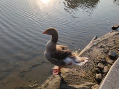 -杭州师范大学(下沙校区)