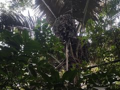 -七仙岭温泉国家森林公园