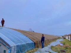 -甜心庄园·甜心草莓采摘园(西青中北店)