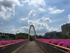-玉树公园