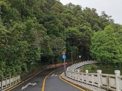 -深圳仙湖植物园-停车场