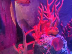 -沈阳海洋探索中心