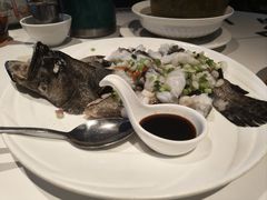 清蒸海青斑-新兴·金羊座·粤菜点心(乐峰店)