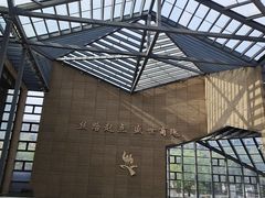 -西安大唐西市博物馆