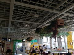 -宜家·瑞典风味餐厅(无锡店)