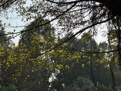 -福建鲤鱼洲酒店