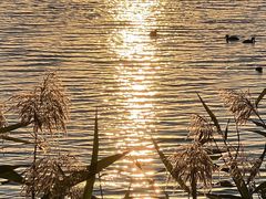 -野鸭湖国家湿地公园
