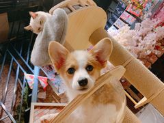-韦记牛杂汤(清晖园店)