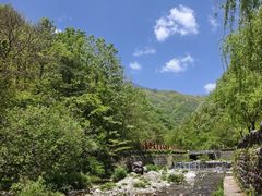 -牛背梁国家森林公园