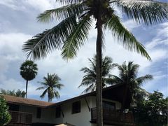 -椰树岛海滩度假村