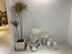 -MZ SKIN CARE逆齢驻颜中心