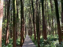 -同里国家湿地公园