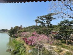 -顺峰山公园