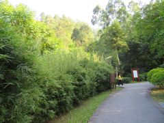 -火炉山森林公园