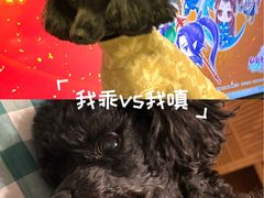 -海底捞火锅(公益西桥店)