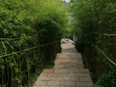 -竹子庵公园