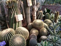 -国家植物园南园