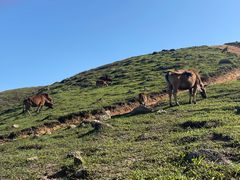 -广东天露山旅游度假区