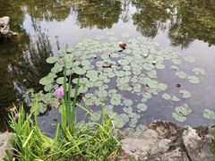 -范蠡湖公园
