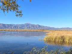 -野鸭湖国家湿地公园