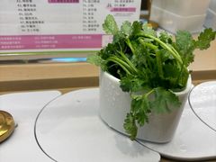 -一围肥牛小火锅(白云万象汇店)