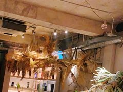 -三秋舍·梦幻岛(小西路店)